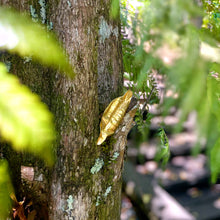 Cargar imagen en el visor de la galería, Broche Magnolia