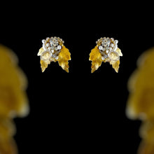Cargar imagen en el visor de la galería, Aros Baco Pearl - Par