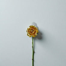 Cargar imagen en el visor de la galería, Broche Pin Amelia