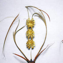 Cargar imagen en el visor de la galería, Aro Catania Plus