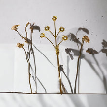 Cargar imagen en el visor de la galería, Horquilla Lady Mary White