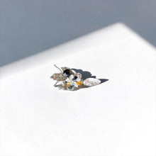Cargar imagen en el visor de la galería, Aros Windsor Silver Ice -Par-
